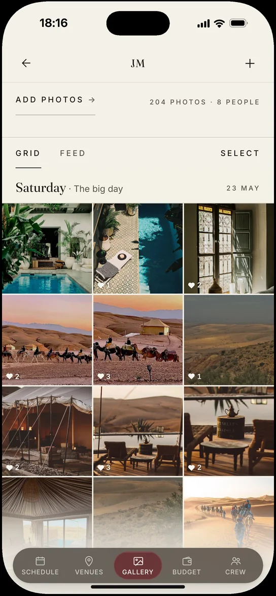 The shared album: 204 photos from eight people, Saturday first &mdash; the riad pool, camels on the ridge, the tent at Agafay
